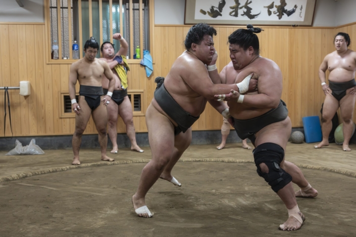 Japan / Honshu / Tokyo / Sumo training