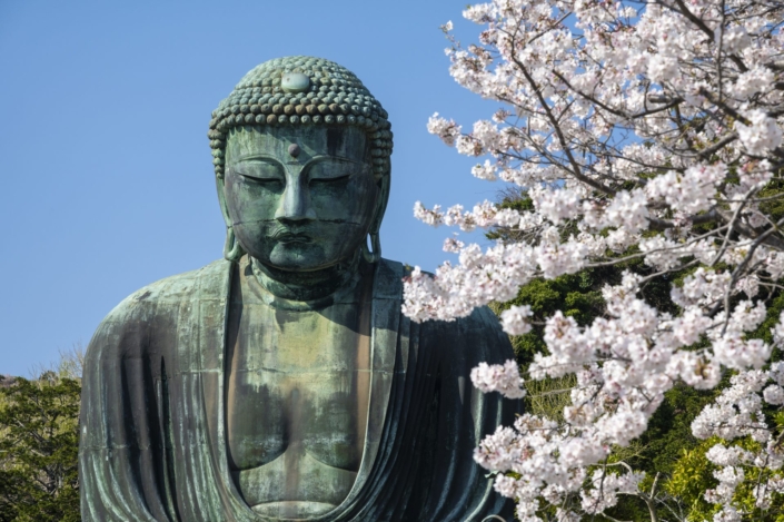 Japan / Honshu / Kamakura / Kotoku-in Temple / Daibutsu (Great Buddha of Kamakura)