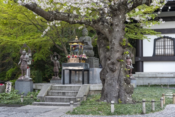 Japan / Honshu / Kamakura / Hase-dera Temple