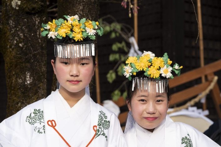 Japan / Honshu / Hida-Furukawa / Hida-Furukawa Festival