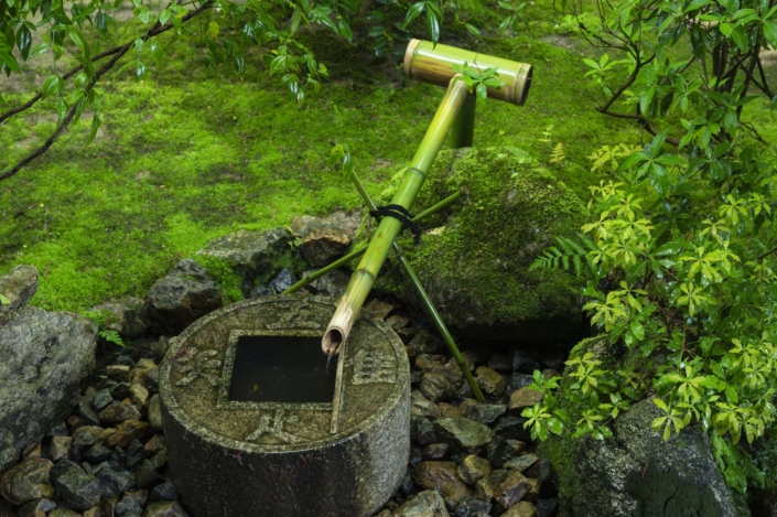 Japan / Honshu / Kyoto / Gioji Tempel